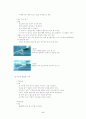 초보자를 위한 6주간의 수영 지도법 (자유형, 평영, 접영) 5페이지
