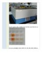 생화학A+)액체 크로마토그래피(chromatography)를 통한 색소 추출 6페이지