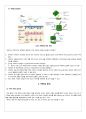생화학실험)단백질 분리 (SDS-PAGE), 단백질 전사(western blot법) 11페이지