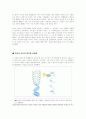 이중나선의 DNA에 대한 연구 보고서 3페이지