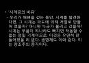 창조설creationism 5페이지