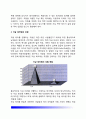 [자살테러suicidal terrorism 양상분석] 자살테러(자폭테러)의 공격목표와 종류, 자살테러범의 유형 5페이지