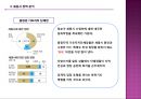 [세종시 정책] 정책 전개과정,세종시 정책 과정, 세종시 정책 분석, 세종시 정책 평가, 세종시 정책 전망 15페이지