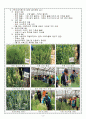 가축사료작물 품목별 재배 특징 및 재배방법 - 전공 : 한우 [실험·실습교육 계획서] 3페이지