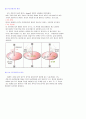 친환경 전력기기 기계설계공학 동국대 10페이지