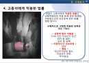 성장애와 고종석 사건 (나주시에서 7세 초등학생을 성폭행).pptx 32페이지