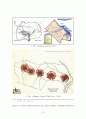 대중교통지향형도시개발 TOD (Transit Oriented Development) 11페이지