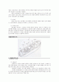 현미경의 종류, 구조, 기능 및 세포의 길이 측정 & 동물세포 및 식물세포의 관찰 13페이지