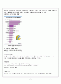 MSN (Microsoft Network)엠에스엔,다국적 기업의 해외진출 실패사례 분석,MSN의 국내시장 진출,SWOT을 통한 실패요인 분석,MSN
 7페이지