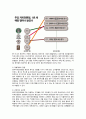 카페베네 (Caffe bene) 스타벅스감성마케팅, 커피시장분석, 카페베네경영전략, 브랜드마케팅, 환경 분석, 카페베네 성공요인, SWOT 분석, 향후 전략  6페이지