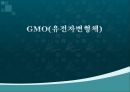 GMO(유전자遺傳子변형체) 용어, GMO 과정, GMO 종류, GMO 긍정영향, GMO 부정영향, GMO 문제점 및 나아갈 방향 1페이지