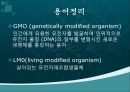 GMO(유전자遺傳子변형체) 용어, GMO 과정, GMO 종류, GMO 긍정영향, GMO 부정영향, GMO 문제점 및 나아갈 방향 3페이지