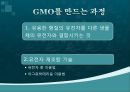 GMO(유전자遺傳子변형체) 용어, GMO 과정, GMO 종류, GMO 긍정영향, GMO 부정영향, GMO 문제점 및 나아갈 방향 6페이지
