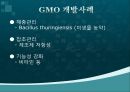 GMO(유전자遺傳子변형체) 용어, GMO 과정, GMO 종류, GMO 긍정영향, GMO 부정영향, GMO 문제점 및 나아갈 방향 10페이지