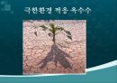 GMO(유전자遺傳子변형체) 용어, GMO 과정, GMO 종류, GMO 긍정영향, GMO 부정영향, GMO 문제점 및 나아갈 방향 14페이지