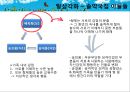 [솔약국집 아들들, 소문난 칠공주, 욕망欲望의 불꽃] Bowen 다세대 가족치료로 본 3세대 가족치료, 가계도, 보웬의 다세대 가족치료 적용 17페이지