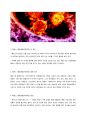 메르스 (MERS 중동호흡기증후군) 완벽정리 (원인, 감염, 증상, 치료법, 예방법) 2페이지