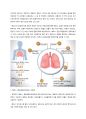 메르스 (MERS 중동호흡기증후군) 완벽정리 (원인, 감염, 증상, 치료법, 예방법) 3페이지