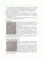 항공기 연료 계통의 구성과 고장탐구에 대해 조사하시오 4페이지