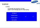 삼성전자(Samsung Electronics)의 성과 평가와 성과보상.ppt 29페이지