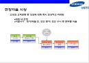 삼성전자(Samsung Electronics)의 성과 평가와 성과보상.ppt 30페이지