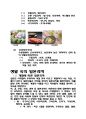 [일본문화의 이해 과제] 일본의 화과자(わがし)와 한국의 한과 4페이지