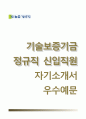 기술보증기금 KIBO 자기소개서 / 기술보증기금자소서 +면접기출문제(면접예상문제) [기술보증기금정규직자기소개서◈기술보증기금합격자소서◈기술보증기금합격예문] 1페이지