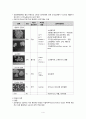 요로결석(Urinary Calculi or Stone)과 관련된 응급실 케이스 스터디(case study) 4페이지