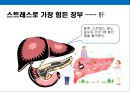 면역력을 높이고 노화방지에 도움을 주는 음식과 생활습관.pptx 17페이지