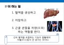 면역력을 높이고 노화방지에 도움을 주는 음식과 생활습관.pptx 18페이지