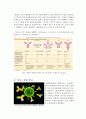 Proteus(프로테우스)균과 나치에 얽힌 비사의 미생물학적 및 면역학적 고찰 6페이지