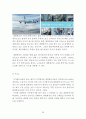 【대한항공 (Korean Air) 마케팅전략 연구 보고서】 대한항공 기업분석과 대한항공 마케팅 SWOT,STP,4P 전략분석 및 대한항공의 향후 새로운 마케팅전략 제안 레포트
 29페이지