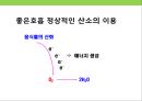 건강한 장수(長壽) 섭생 & 병을 일으키는 한의학적 원인.pptx 32페이지