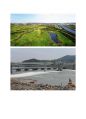 세계화 시대의 도시와 국토-자연 환경의 변화에 따른 국토의 이슈 보고서레포트 8페이지