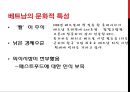 한국 프랜차이즈 업체의 해외진출 사례 분석 17페이지