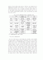 2015 중앙정부의 재정건전성-레포트 58페이지