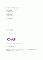 CU편의점 기업분석과 한국시장 마케팅,경영전략 분석과 CU의 해외진출 마케팅방안 연구 (세븐일레븐 해외 성공사례와 비교분석),기업핵심역량 레포트 3페이지