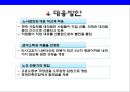 삼성전자Samsung Electronics Co., Ltd의 노사관계 비노조 경영 13페이지