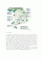 [생물과학 공통자료] 우리 주변의 습지 생태계를 구성하는 먹이사슬과 에너지 흐름에 대해 설명하시오 3페이지