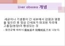 간농양 ppt (liver abscess ) 3페이지