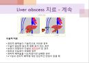 간농양 ppt (liver abscess ) 17페이지