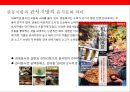 일본의 식문화[식사예절.지역별 대표음식.먹는법등]일본의 자연환경 과 종교
 17페이지
