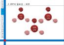 [ 대한항공 ERP 도입사례연구 PPT ] 대한항공 기업분석과 대한항공 ERP 도입사례분석과 도입성과연구및 향후전망 (발표대본첨부) 12페이지