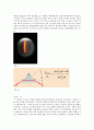 프리즘의 굴절률 측정 6페이지
