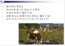 젖소에 있어서 물의 중요성(Water for Dairy Cattle) 4페이지