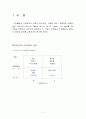 디커플링과 기업전략의 연계  2페이지