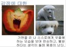 버지니아 사티어의 빙산탐색(STAIR, 빙산탐색모델, 가족치료및상담)PPT, 파워포인트 6페이지