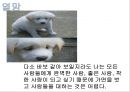 버지니아 사티어의 빙산탐색(STAIR, 빙산탐색모델, 가족치료및상담)PPT, 파워포인트 9페이지