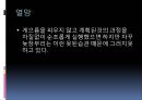 빙산탐색모델을 활용한 개인의 경험수준파악(사티어, 자기탐색, 자기분석, 가족치료및상담) PPT, 파워포인트 8페이지