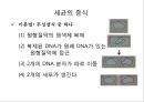 세균의구조 4페이지